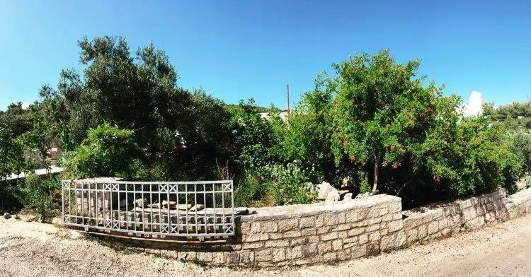 Faros Oasis Apartment Gdinj Exterior photo